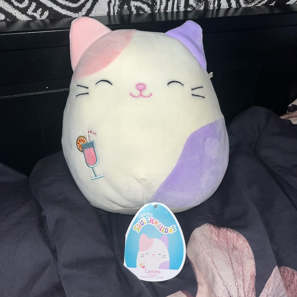 BNWT Party Cat Carlota Squishmallow